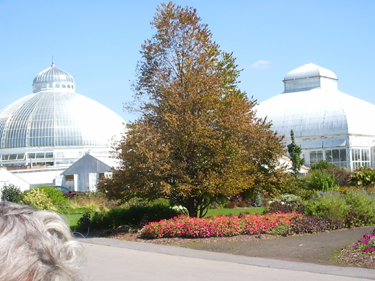 The west shrub garden at the Buffalo and Erie County Botanical Gardens.